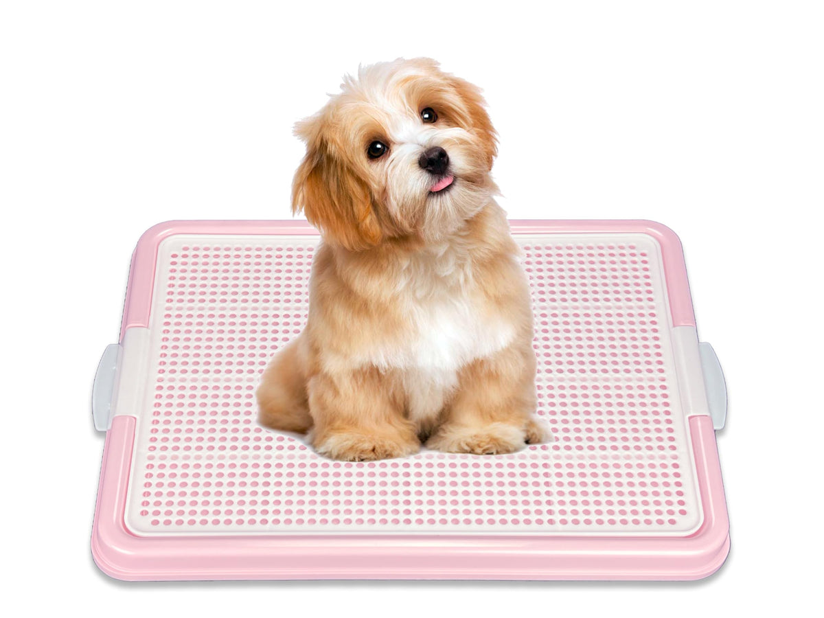 Pets-N-Me dog pee pad holder top view showcasing secure snap locks for stable pads.