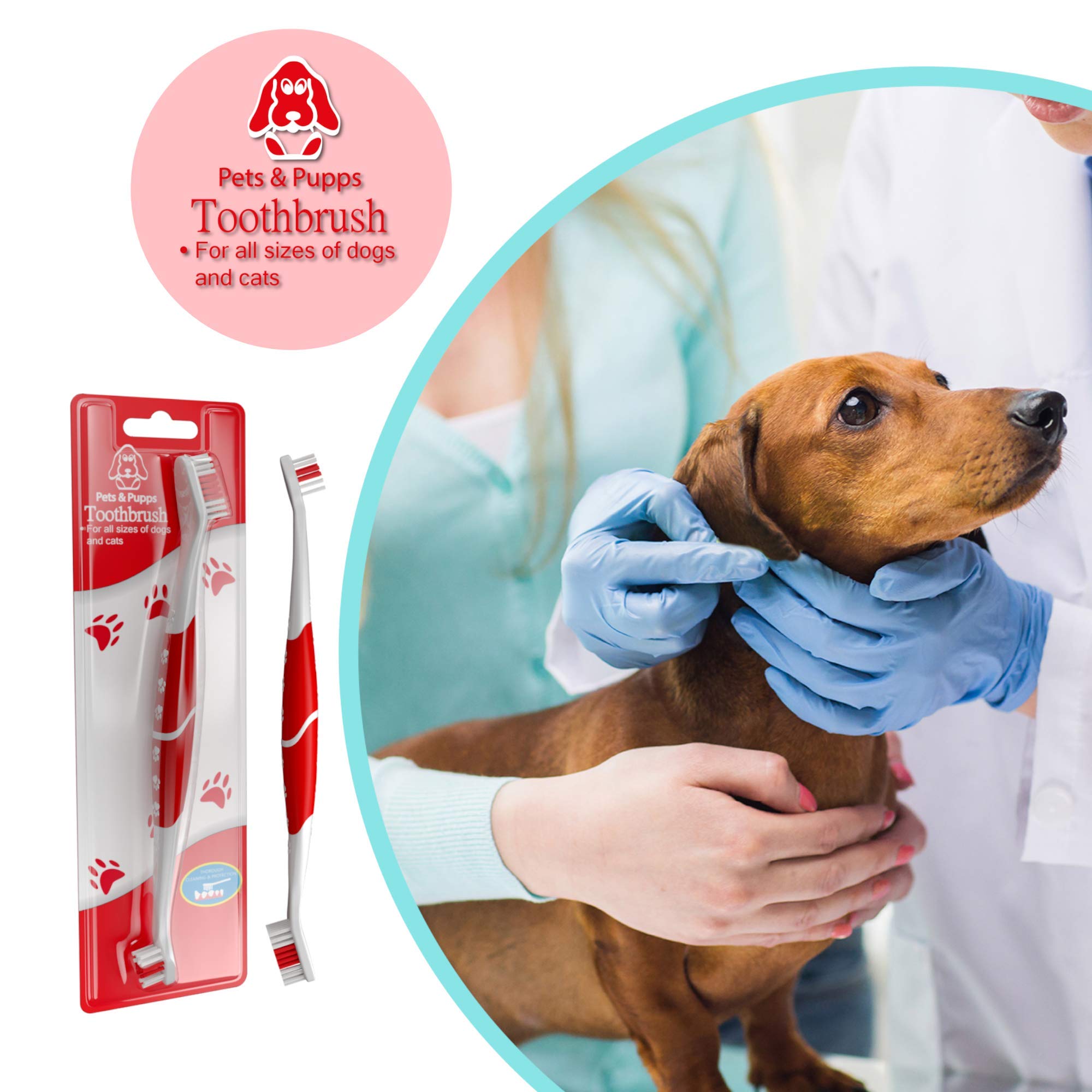 Pets & Pupps pack of 4 improves convenience for multi-pet households.