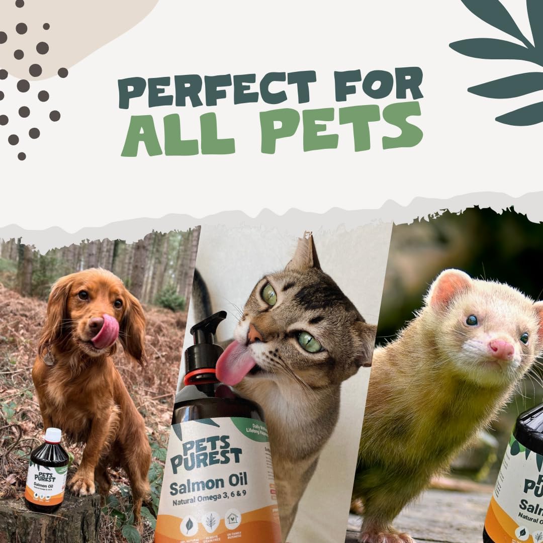 Pets Purest Salmon Oil brain-focus supports cognitive health via EPA/DHA.