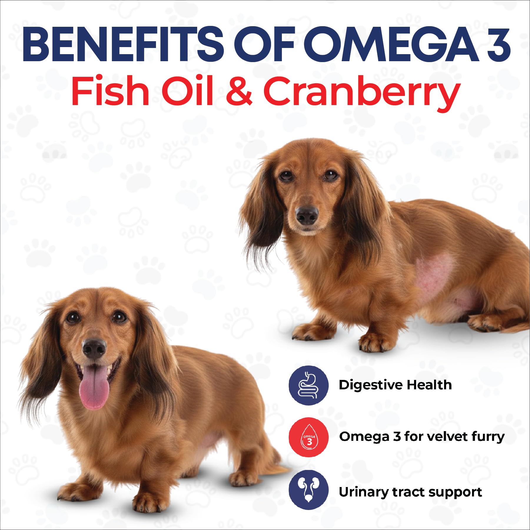 Pets The New Kids cranberry-extract dog chew supports urinary wellness.