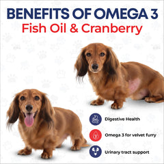 Pets The New Kids cranberry-extract dog chew supports urinary wellness.