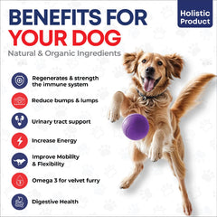 Pets The New Kids omega-3 fish-oil dog chew closeup supports healthy skin.
