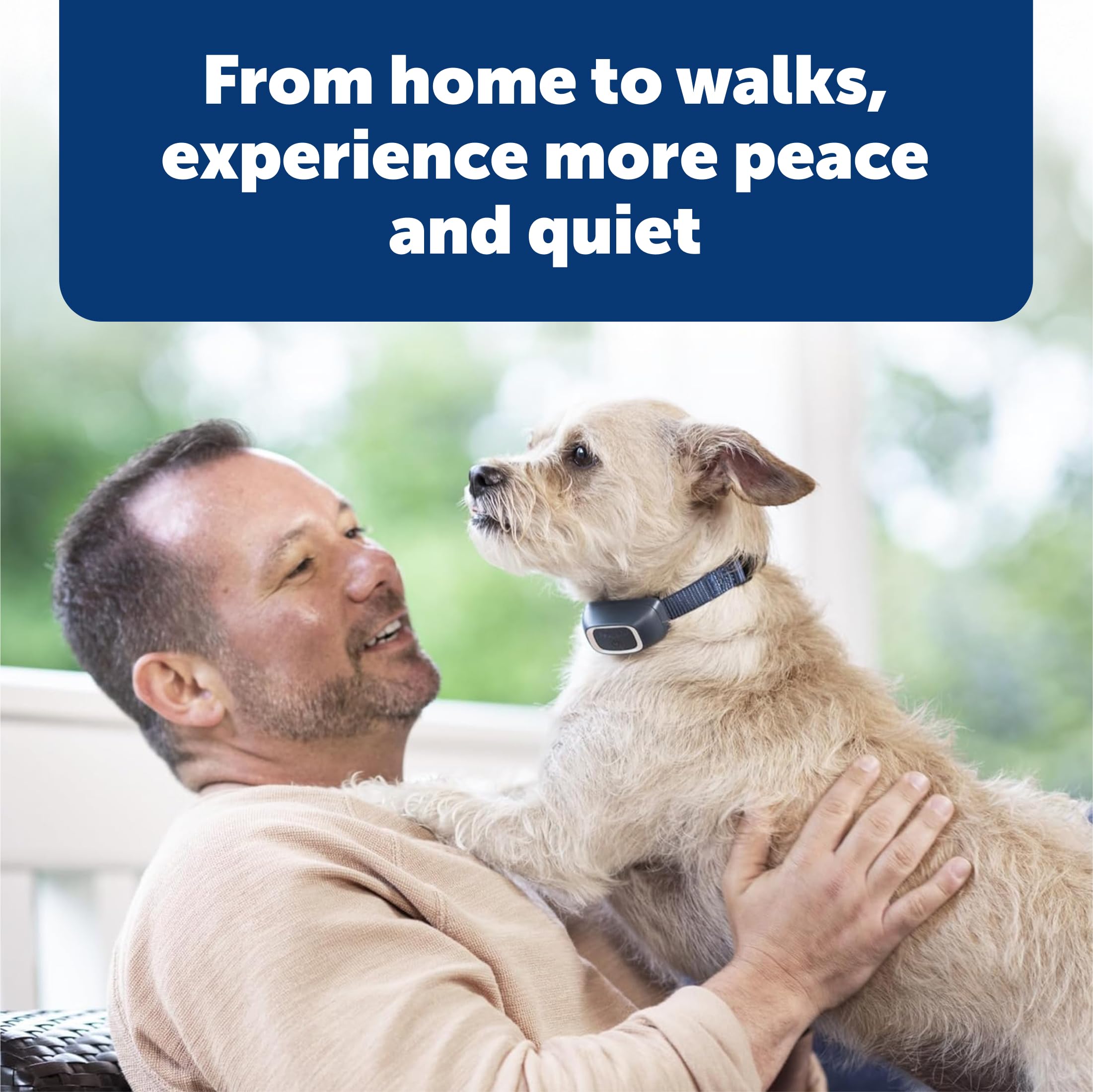 PetSafe 3-in-1 stimulation demonstrates tone, vibration, and static options for customizable training.
