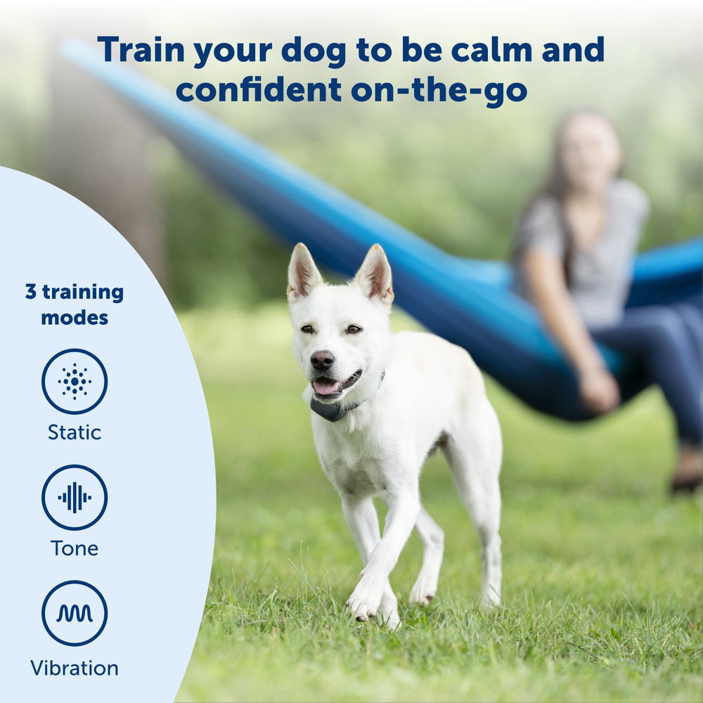 PetSafe 300-yard range test image for confident outdoor training sessions.