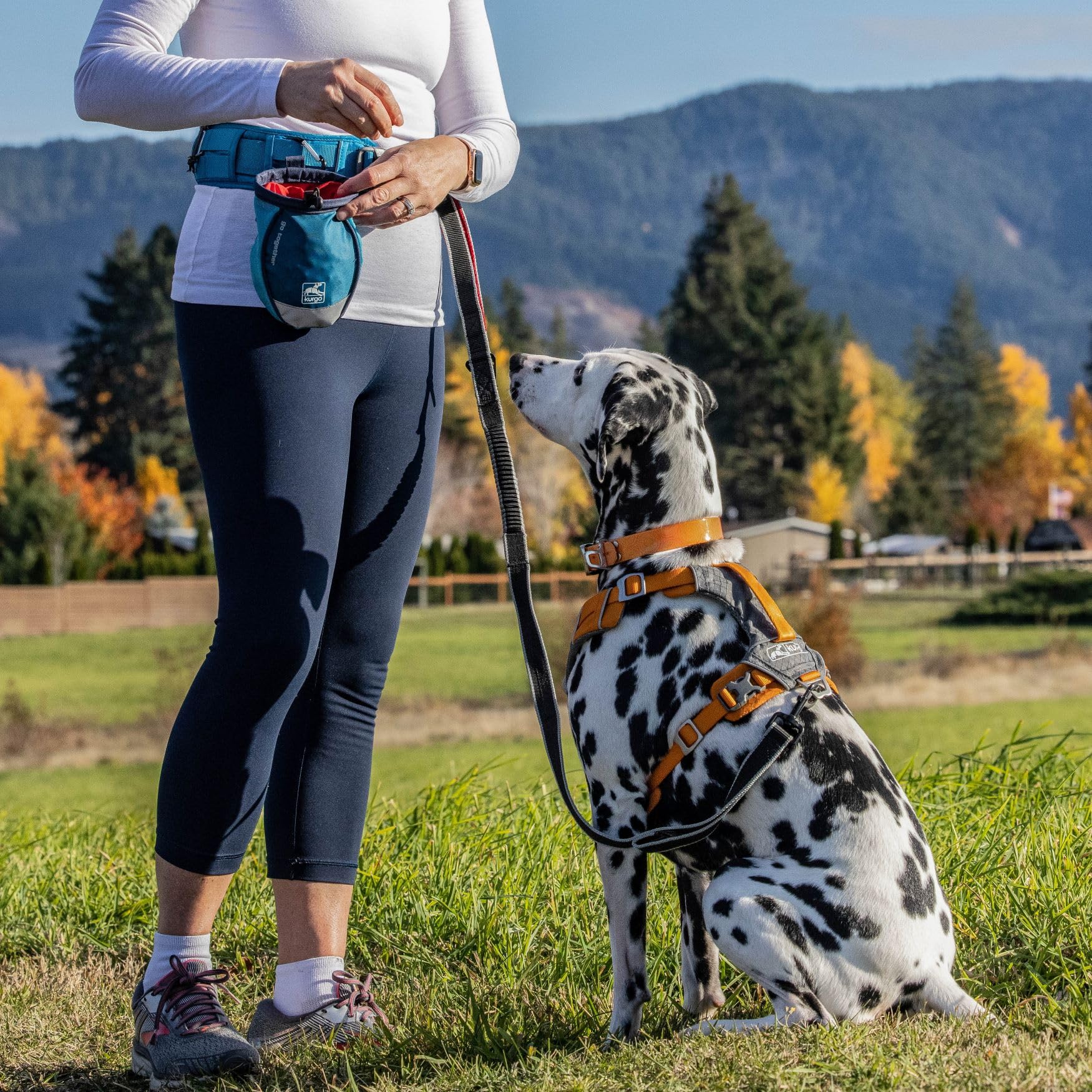 PetSafe 3-in-1 harness back-attachment for comfortable jogging use.