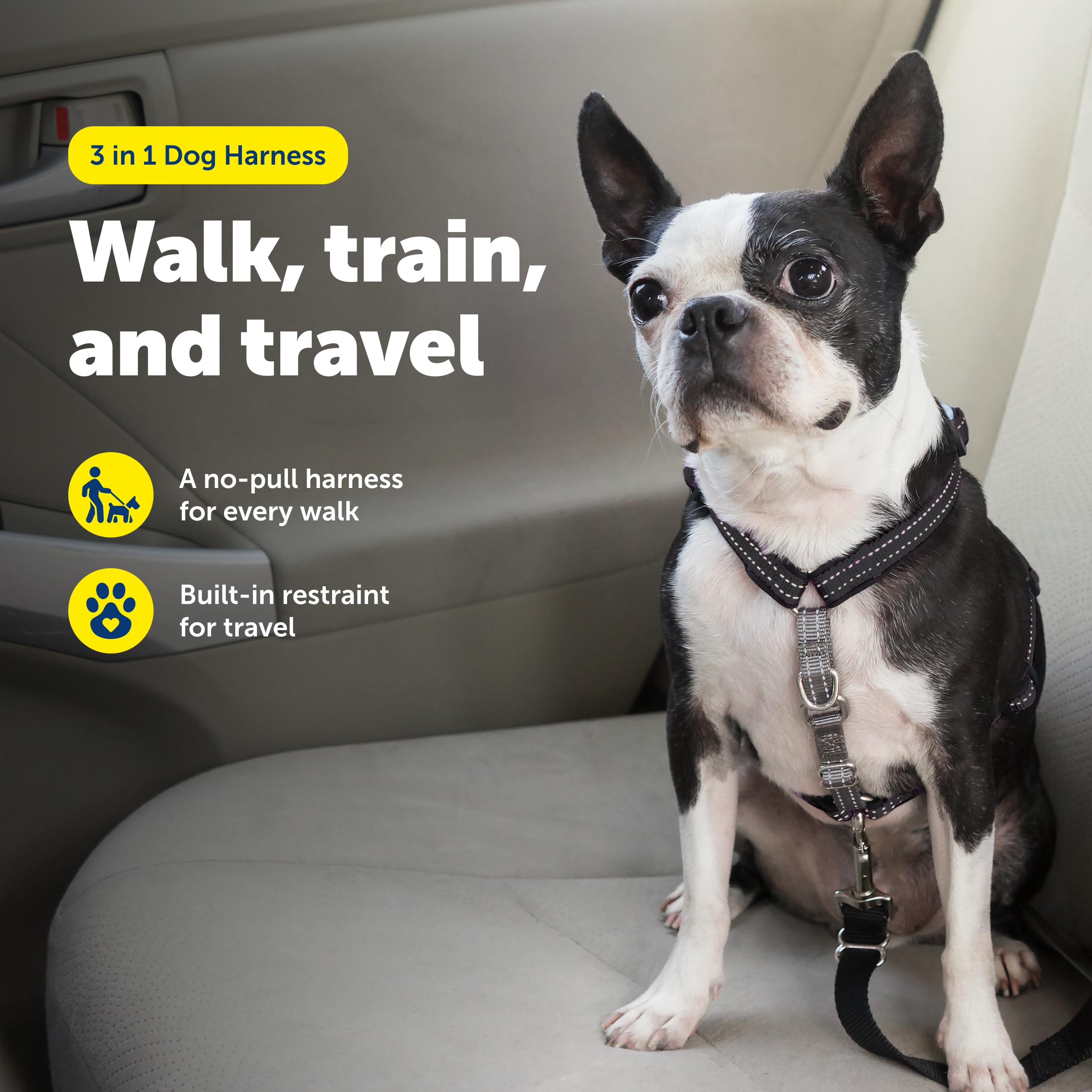 PetSafe 3-in-1 harness car seatbelt loop for secure car rides.