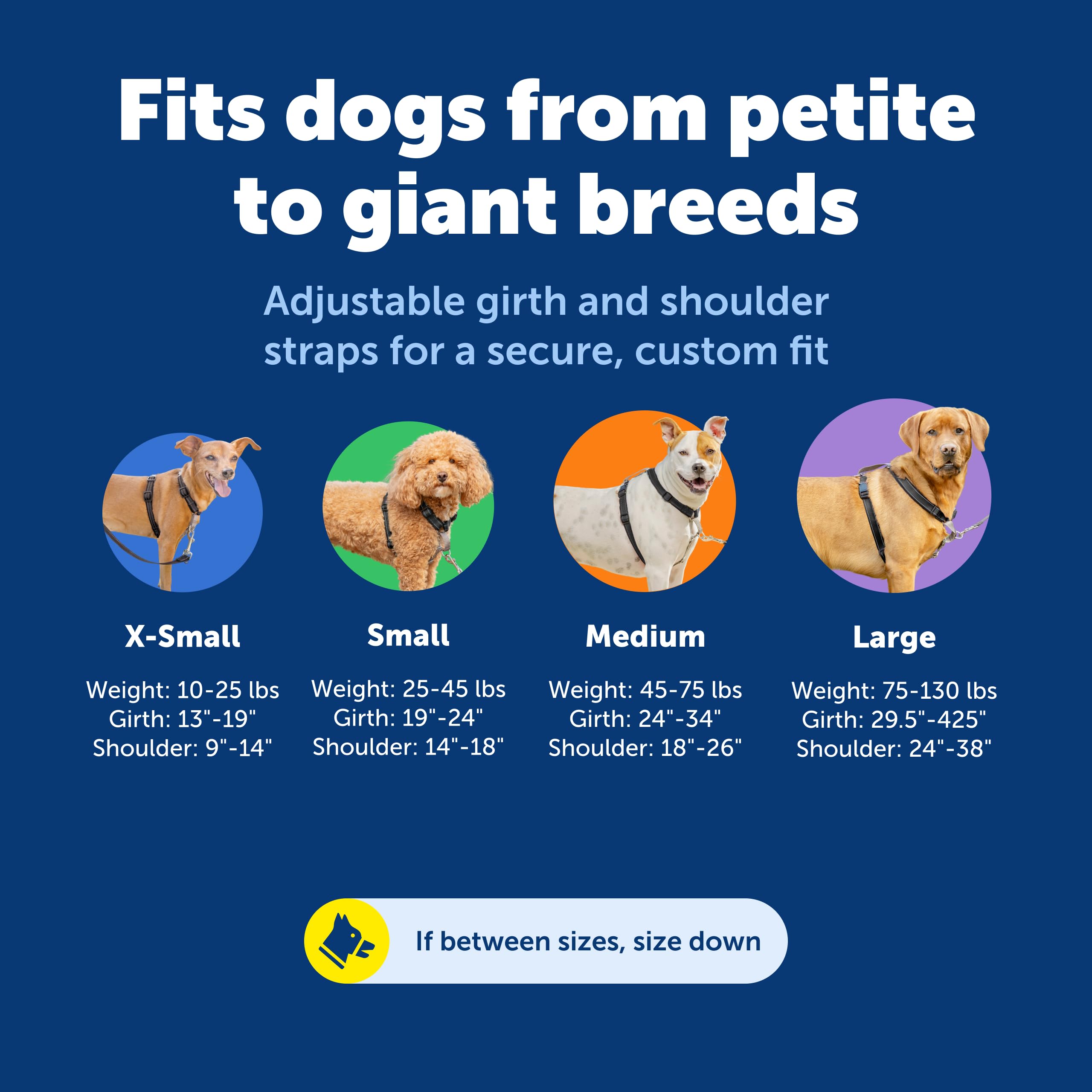 PetSafe 3-in-1 harness five-point adjustment for a custom fit.