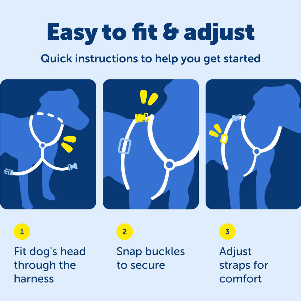 PetSafe 3-in-1 harness padded straps provide comfortable daily walks.