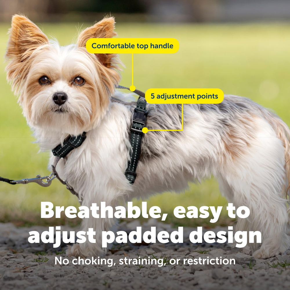 PetSafe 3-in-1 harness reflective nylon enhances visibility at dusk.
