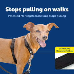 PetSafe 3-in-1 harness top handle for quick dog control.