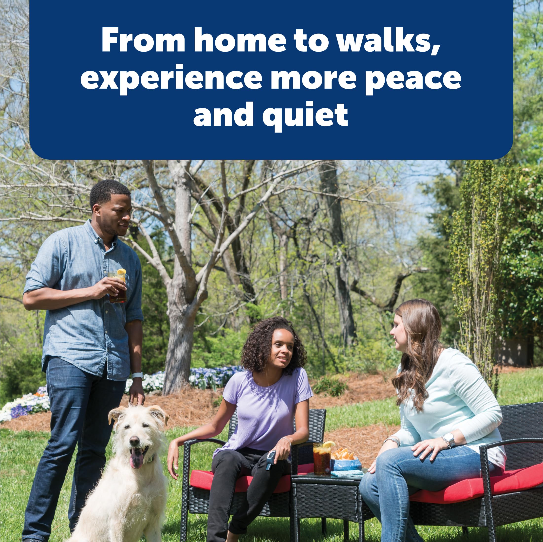 PetSafe collar-on-dog training scene illustrating comfortable fit during walks