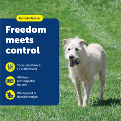 PetSafe 600 Yard Lite remote front view showing palm-sized comfort