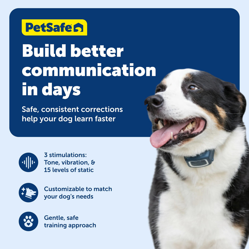 PetSafe durable collar with ridged polyester to reduce slipping