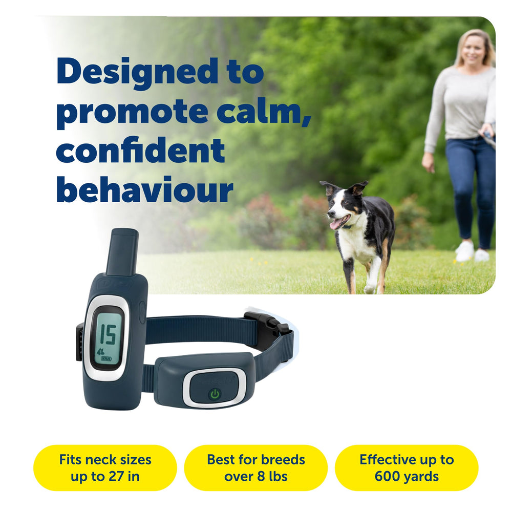 PetSafe waterproof collar ready for puddle-jumping and outdoor training