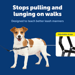 PetSafe Easy Walk Harness con correas de ajuste: ajuste cómodo para cada perro