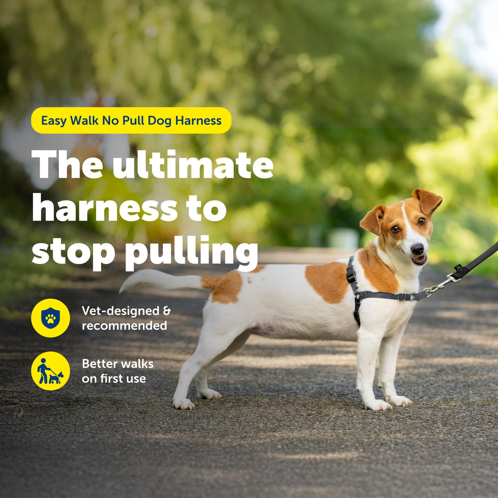 PetSafe Easy Walk Harness con anclaje de pecho: dirige al perro sin forzar la garganta