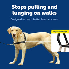 PetSafe Easy Walk arnés con tejido transpirable para paseos frescos