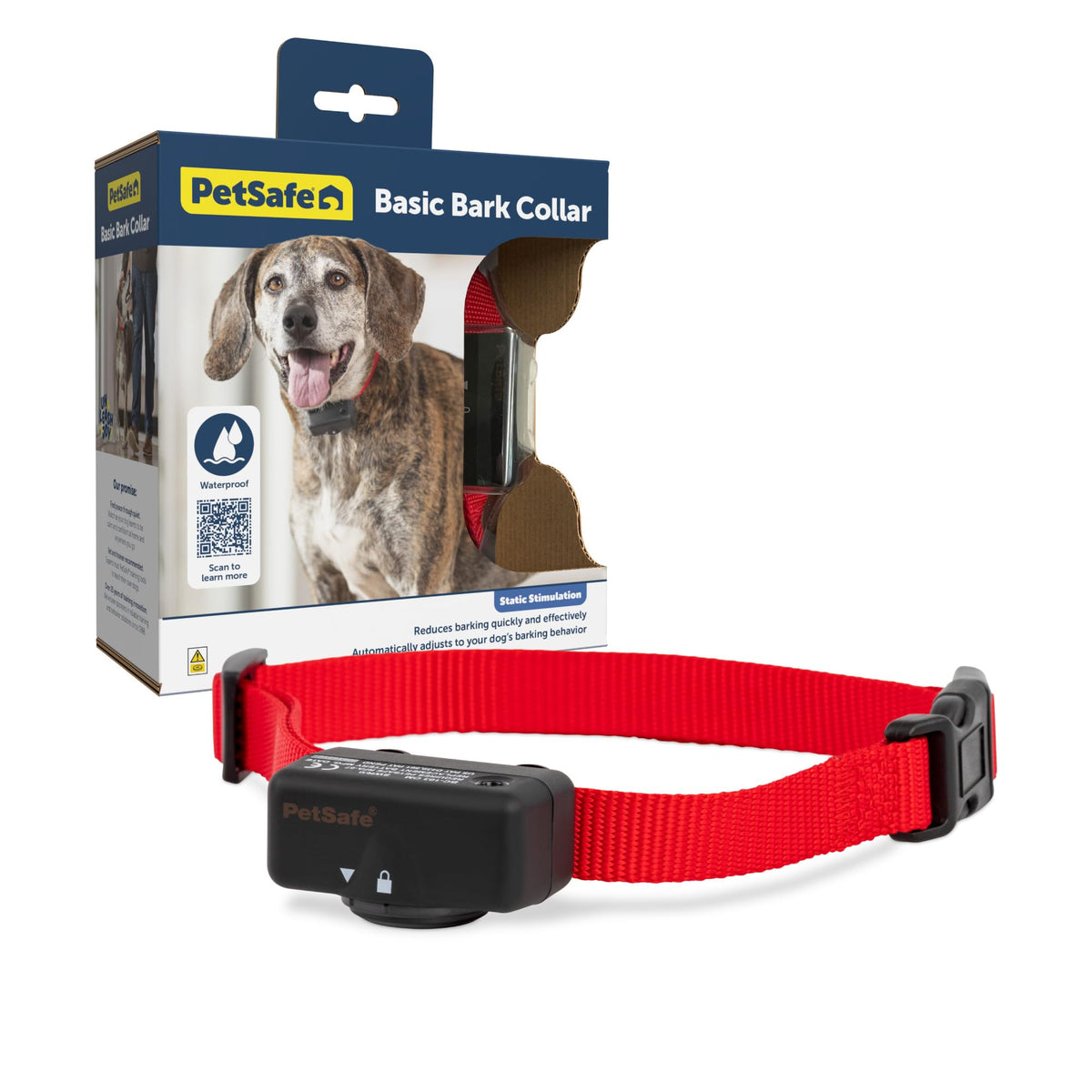 PetSafe Basic Bark Control Collar on dog's neck showing adjustable fit for training indoors and outdoors