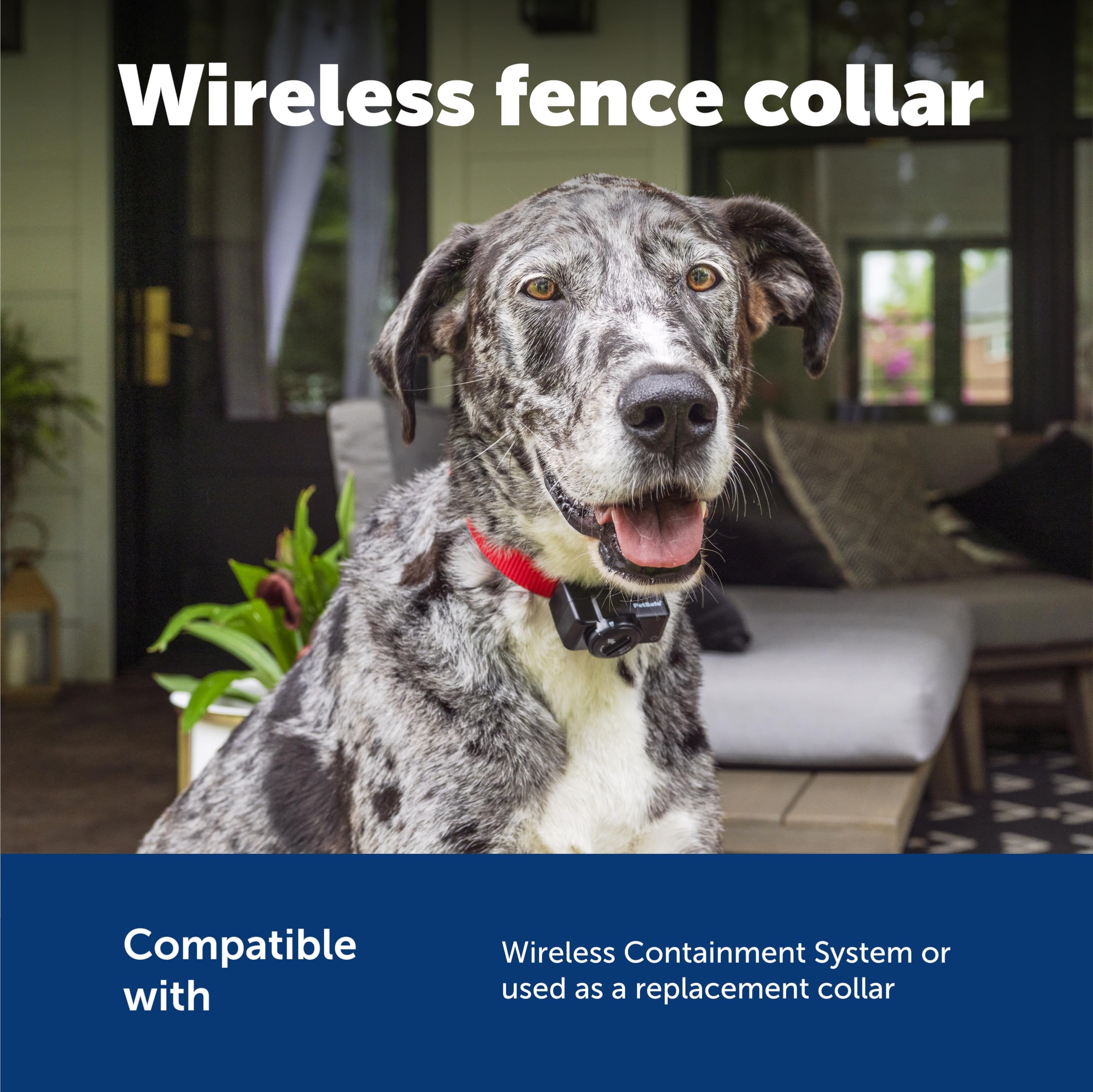 PetSafe battery status indicator on collar helps plan sessions