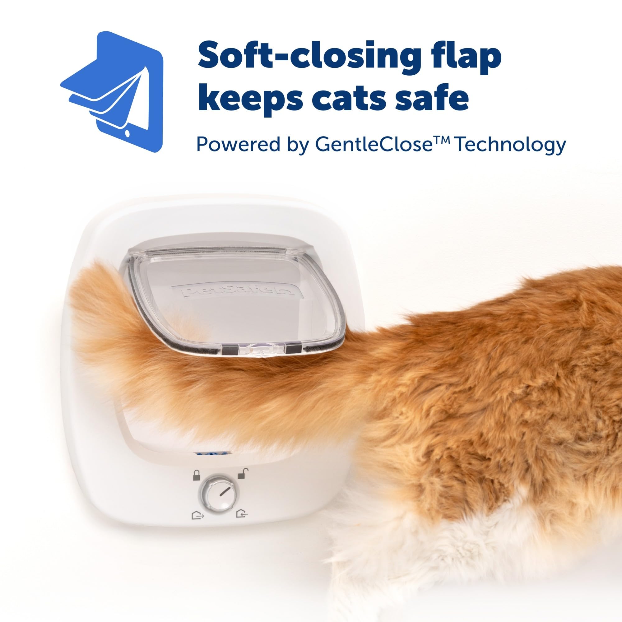 PetSafe Big Cat Door interior-exterior use for flexible room-to-room exploration.