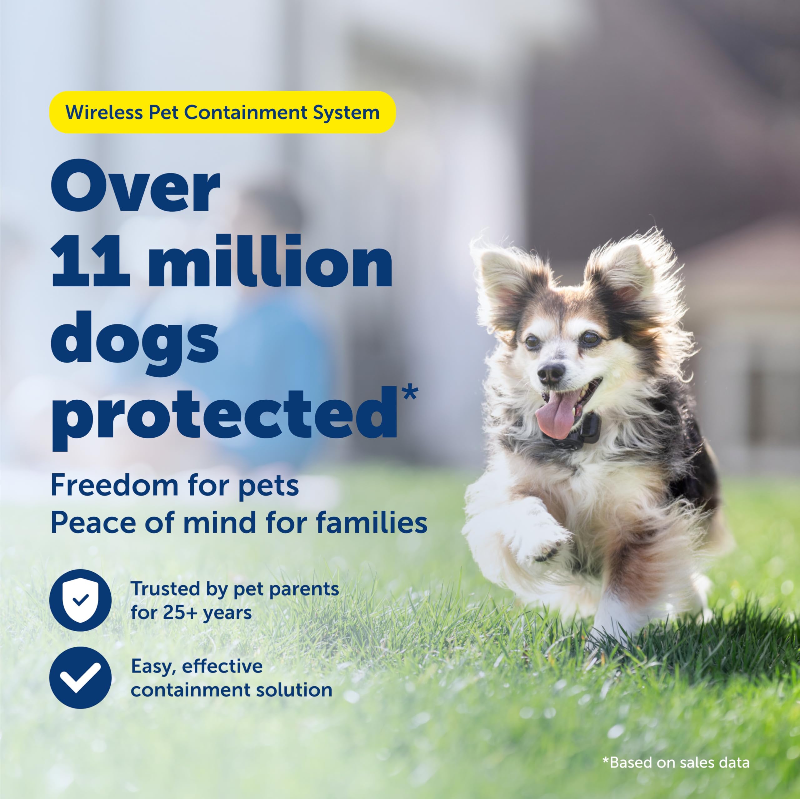 PetSafe boundary flags placed to mark the safe area