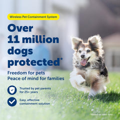 PetSafe boundary flags placed to mark the safe area
