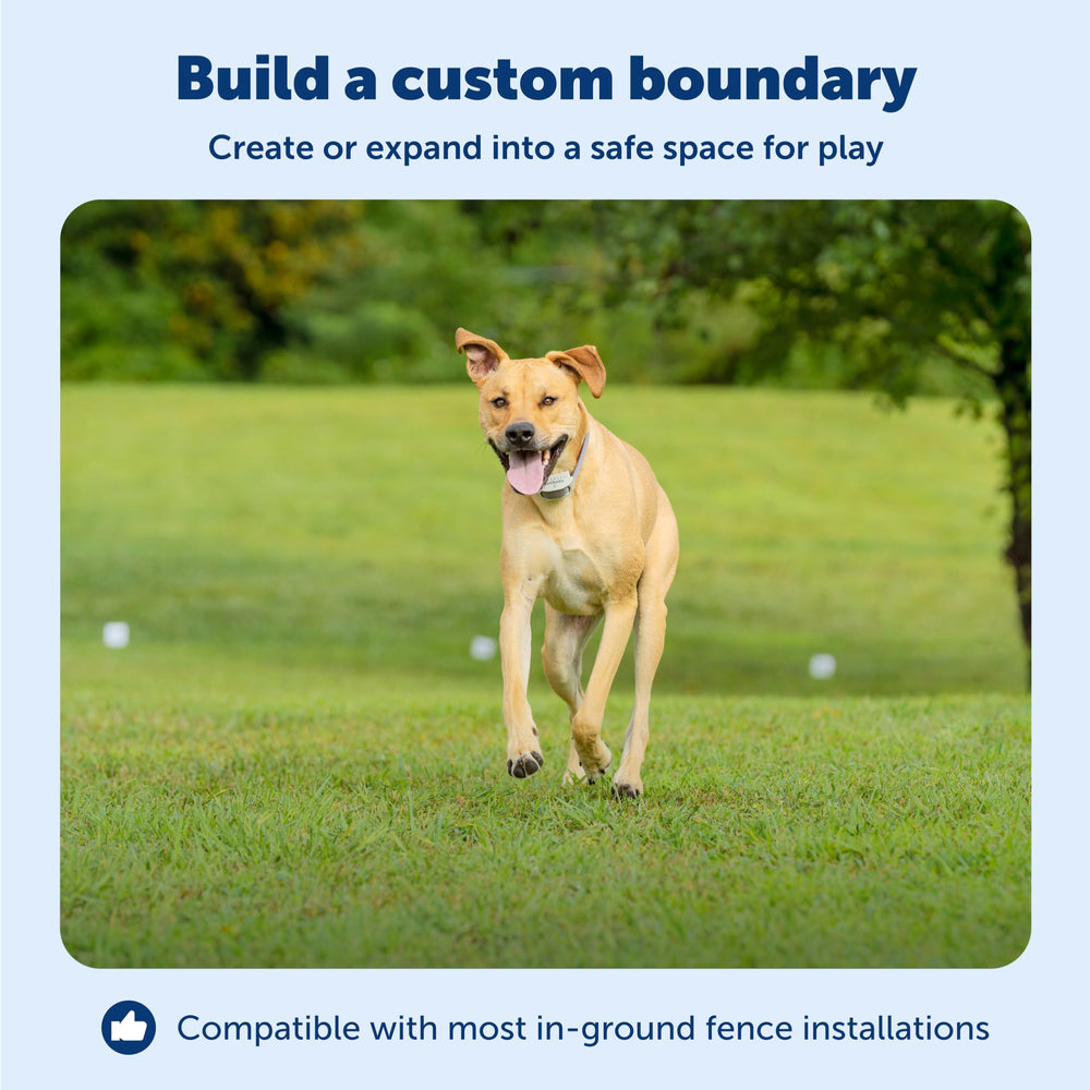 PetSafe 20-gauge copper wire highlights sturdy, long-lasting containment infrastructure.