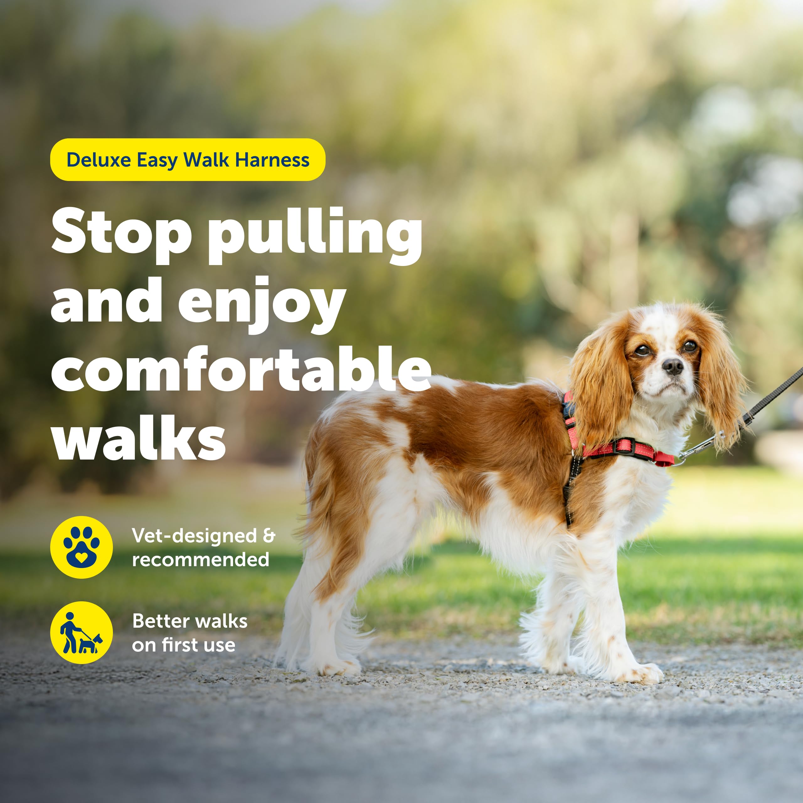 PetSafe Deluxe Easy Walk Harness breathable straps deliver all day comfort