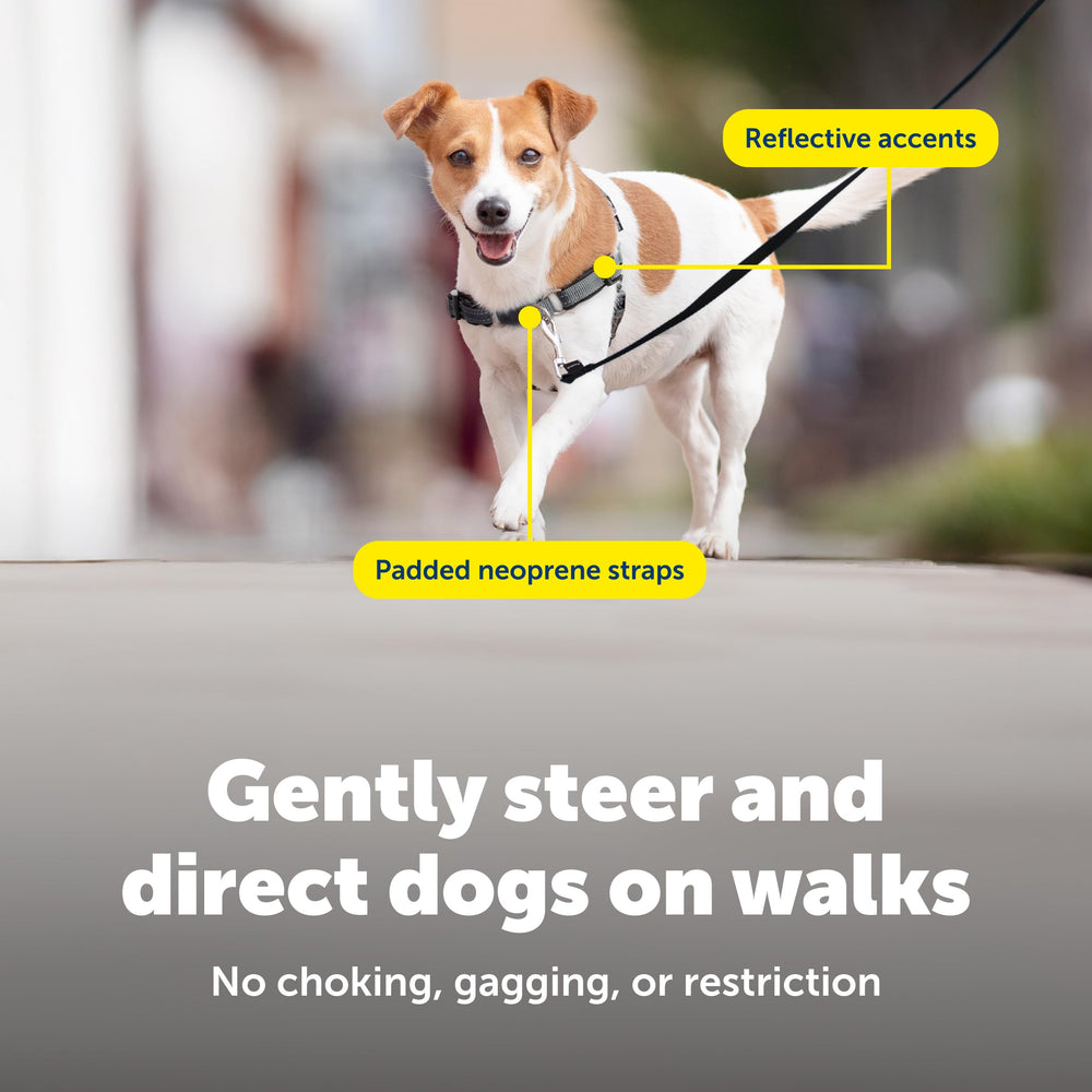 PetSafe Deluxe Easy Walk Harness color coded belly straps aid quick orientation