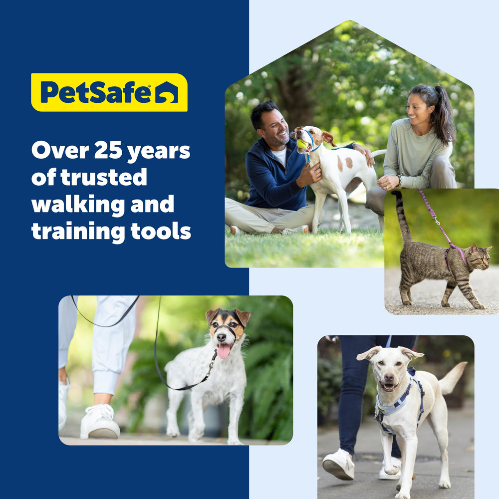 PetSafe Deluxe Easy Walk Harness durable anti-pull construction for training walks