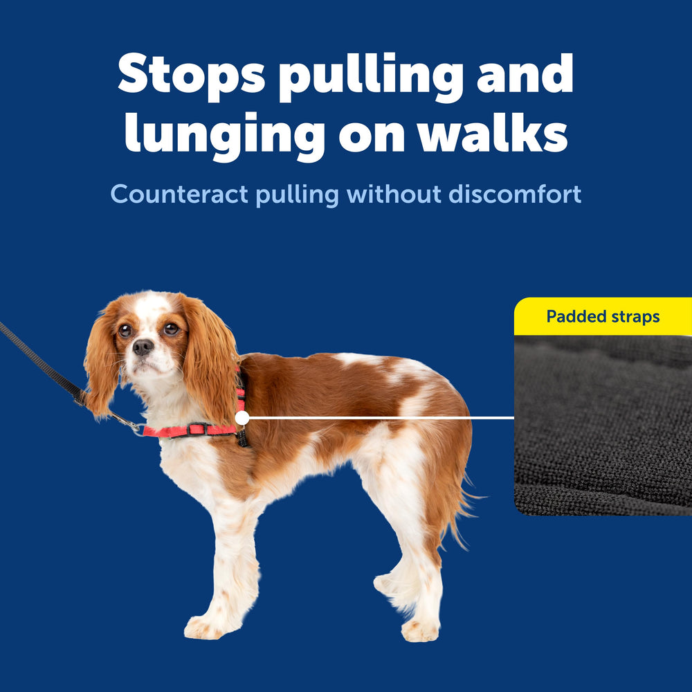 PetSafe Deluxe Easy Walk Harness quick snap shoulder enables easy fitting