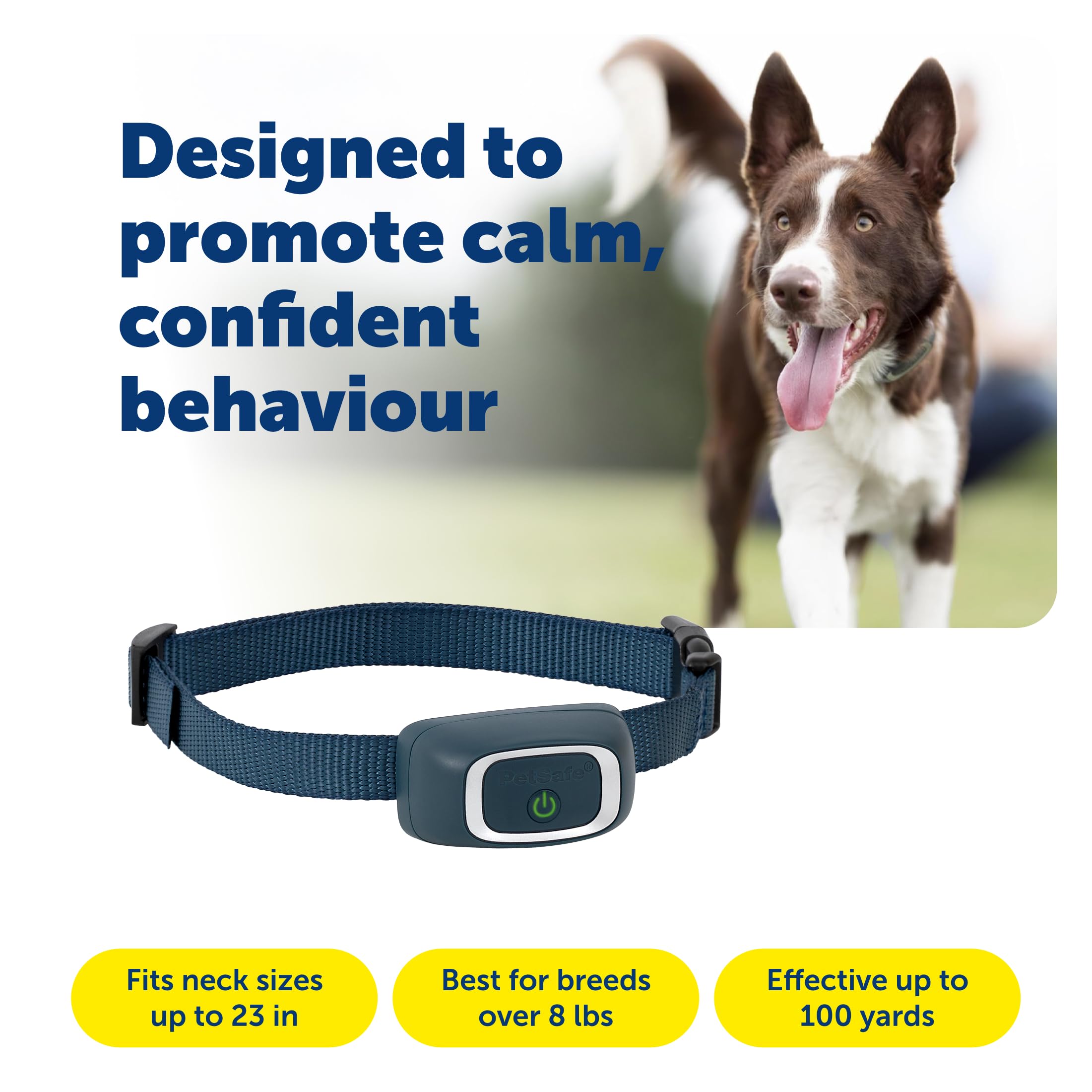 PetSafe dog collar worn demonstrates comfortable fit for small to medium breeds.
