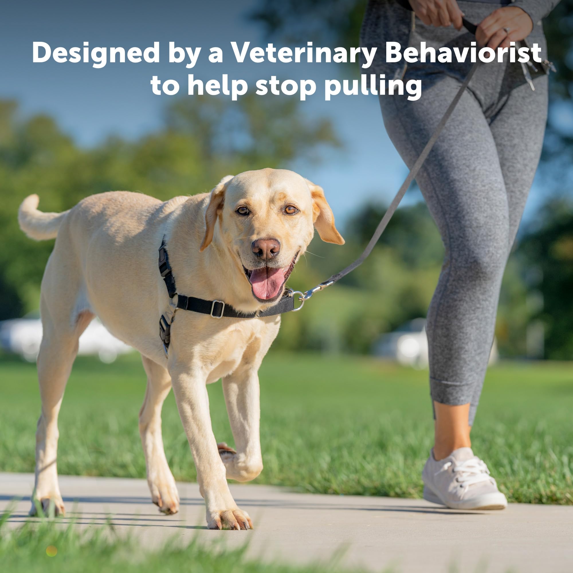 PetSafe Easy Walk muestra correas de ajuste para comodidad en caminatas.