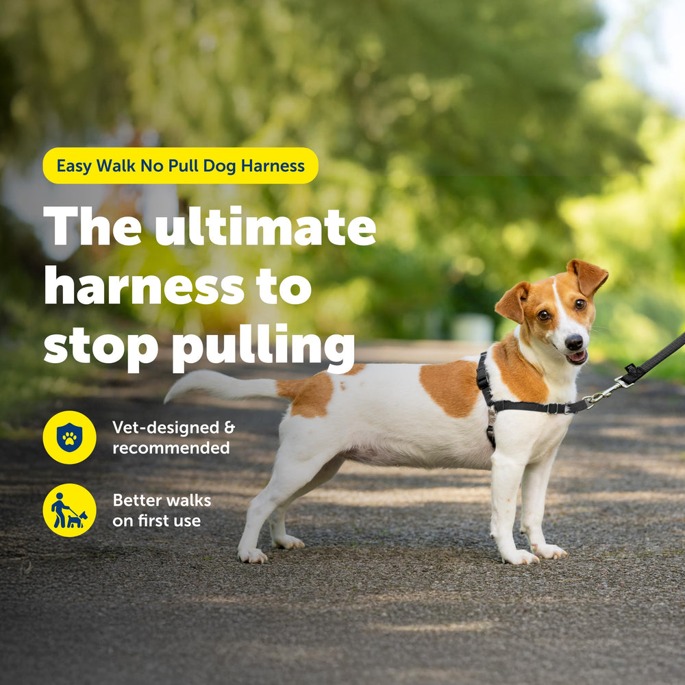 PetSafe Easy Walk con ajustes de confort para un ajuste perfecto