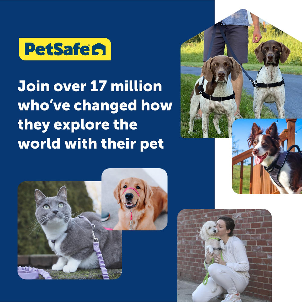 PetSafe Easy Walk cinta ventral codificada facilita ponérselo correctamente.