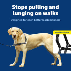 PetSafe Easy Walk con martingale delantero para redirigir la atención sin tirones.