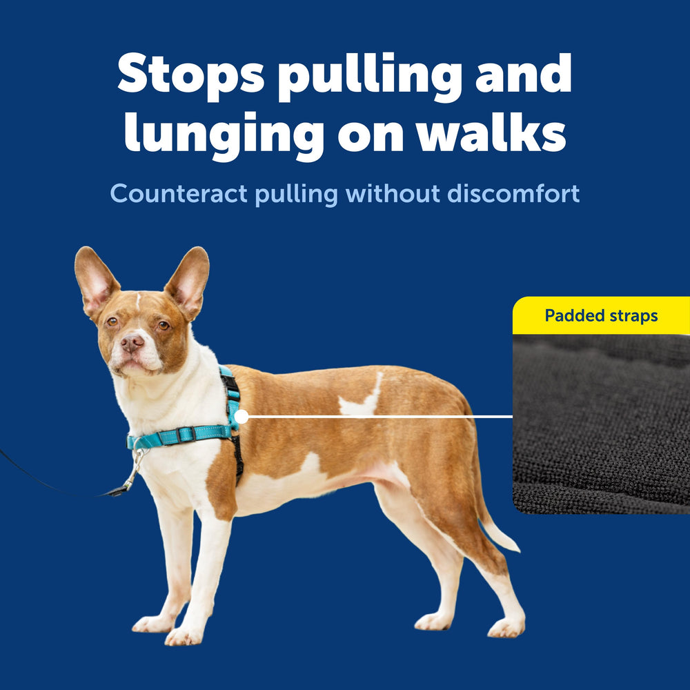 PetSafe Easy Walk Deluxe chest-restraint design reduces pressure on the neck during walks.