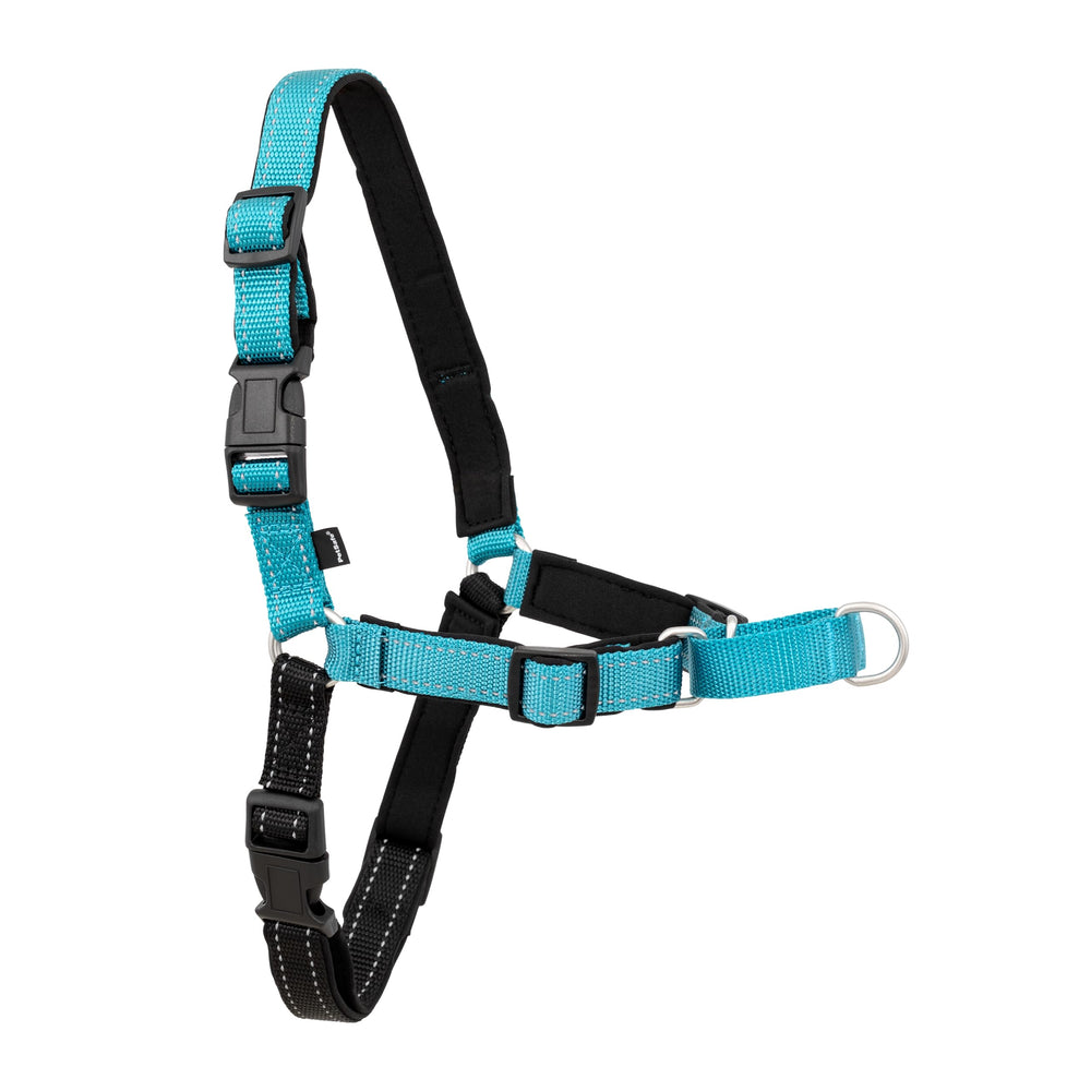 PetSafe Easy Walk Deluxe front-chest attachment improves walk control.