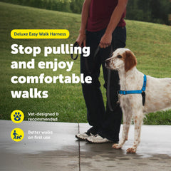 PetSafe Easy Walk Deluxe martingale loop helps guide gently during training.