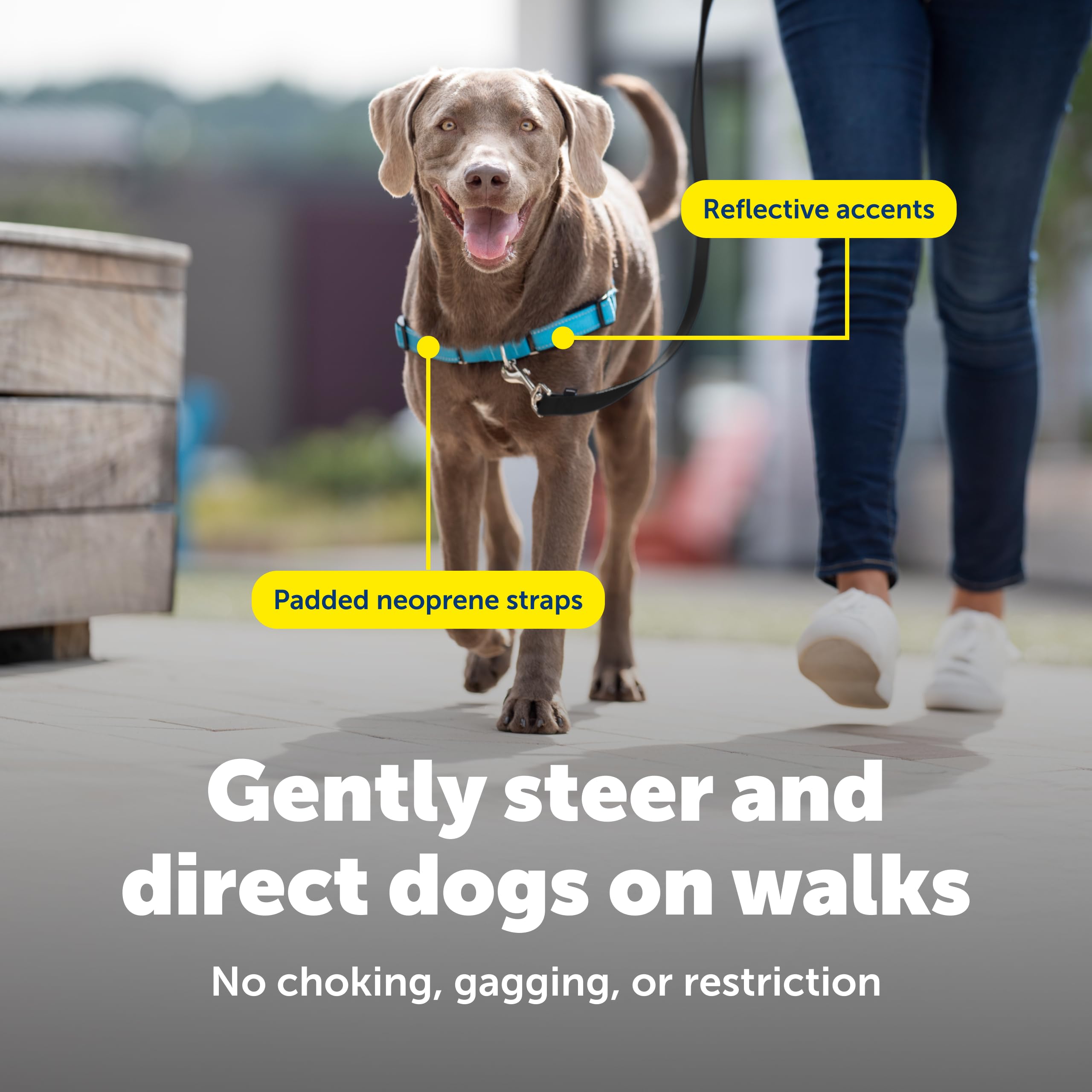 PetSafe Easy Walk Deluxe quick-snap straps simplify harness fitting.