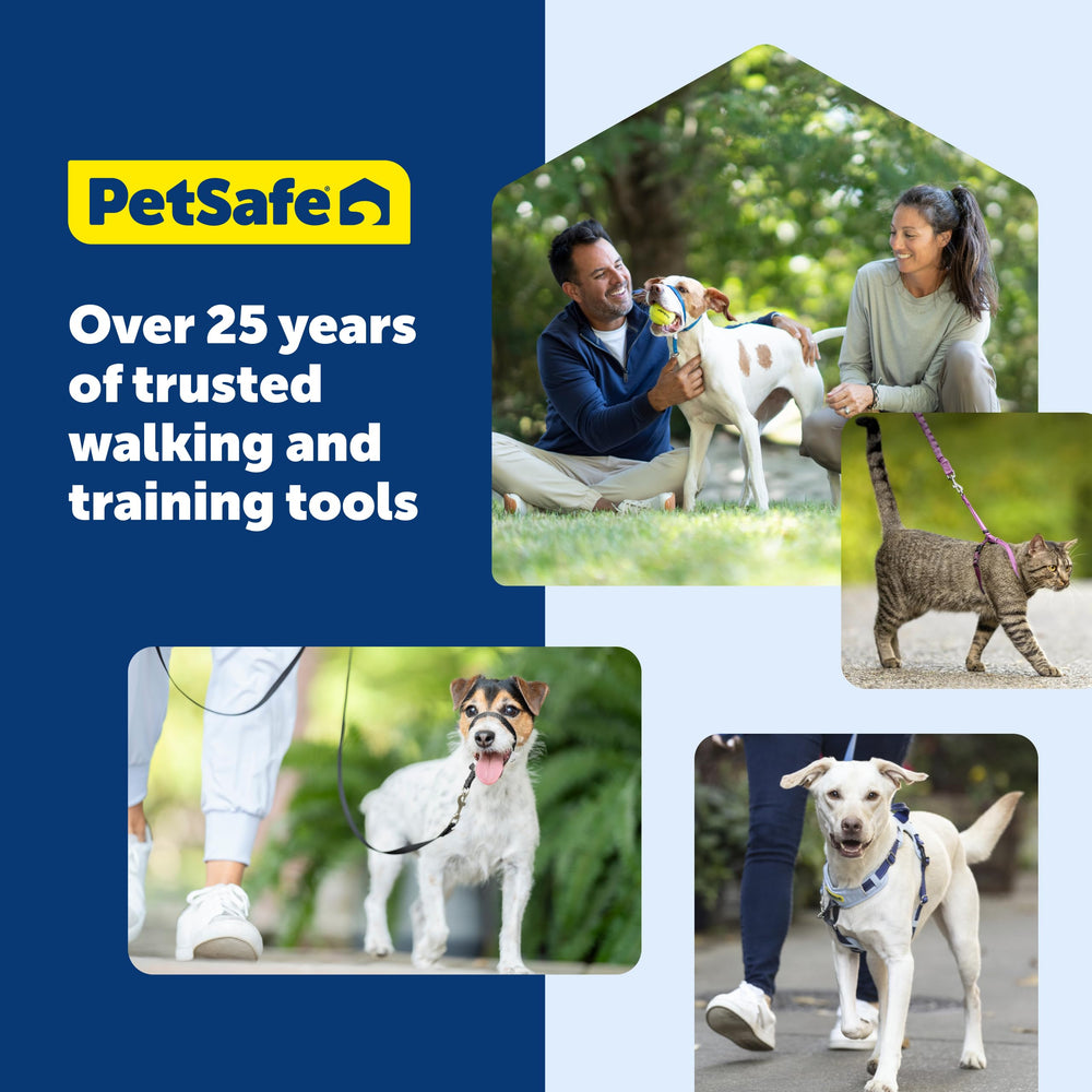 PetSafe Easy Walk diseno-transpirable ideal para caminatas largas