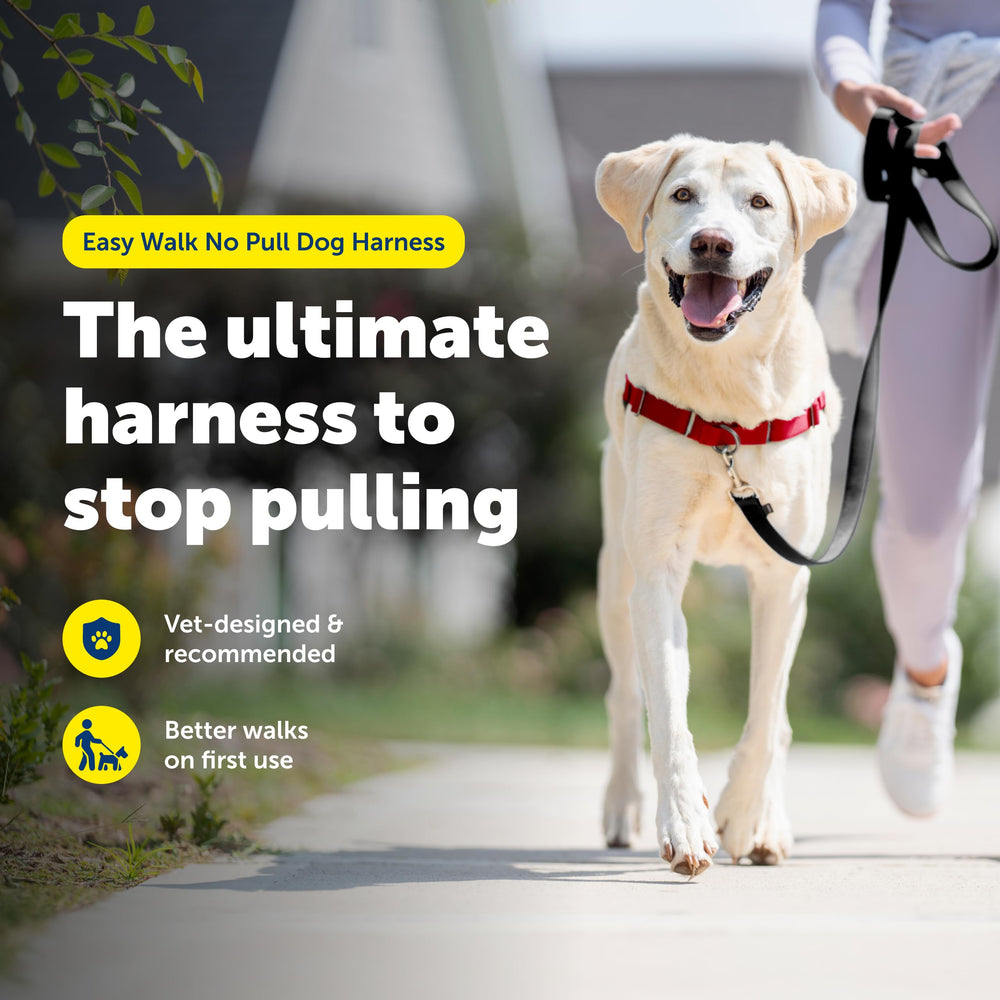 PetSafe Easy Walk Harness adjustable straps highlighted for secure, comfortable fit