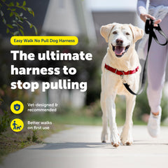 PetSafe Easy Walk Harness adjustable straps highlighted for secure, comfortable fit