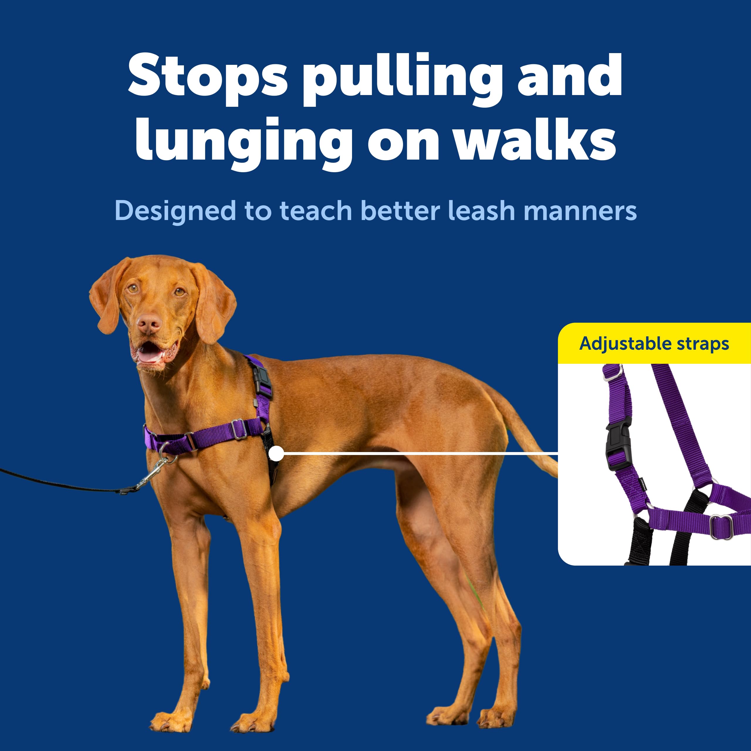PetSafe Easy Walk belly strap color-coded detail for quick orientation on