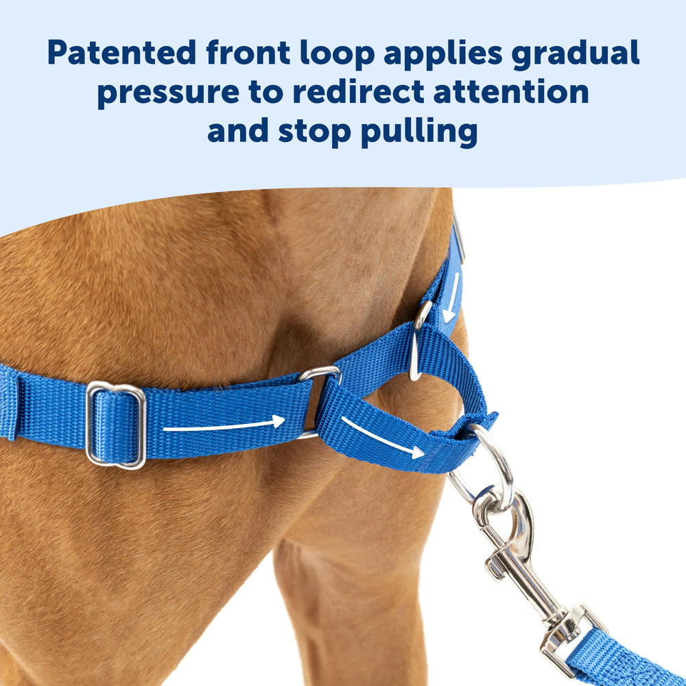 PetSafe Easy Walk Harness belly strap color-coded for fast orientation