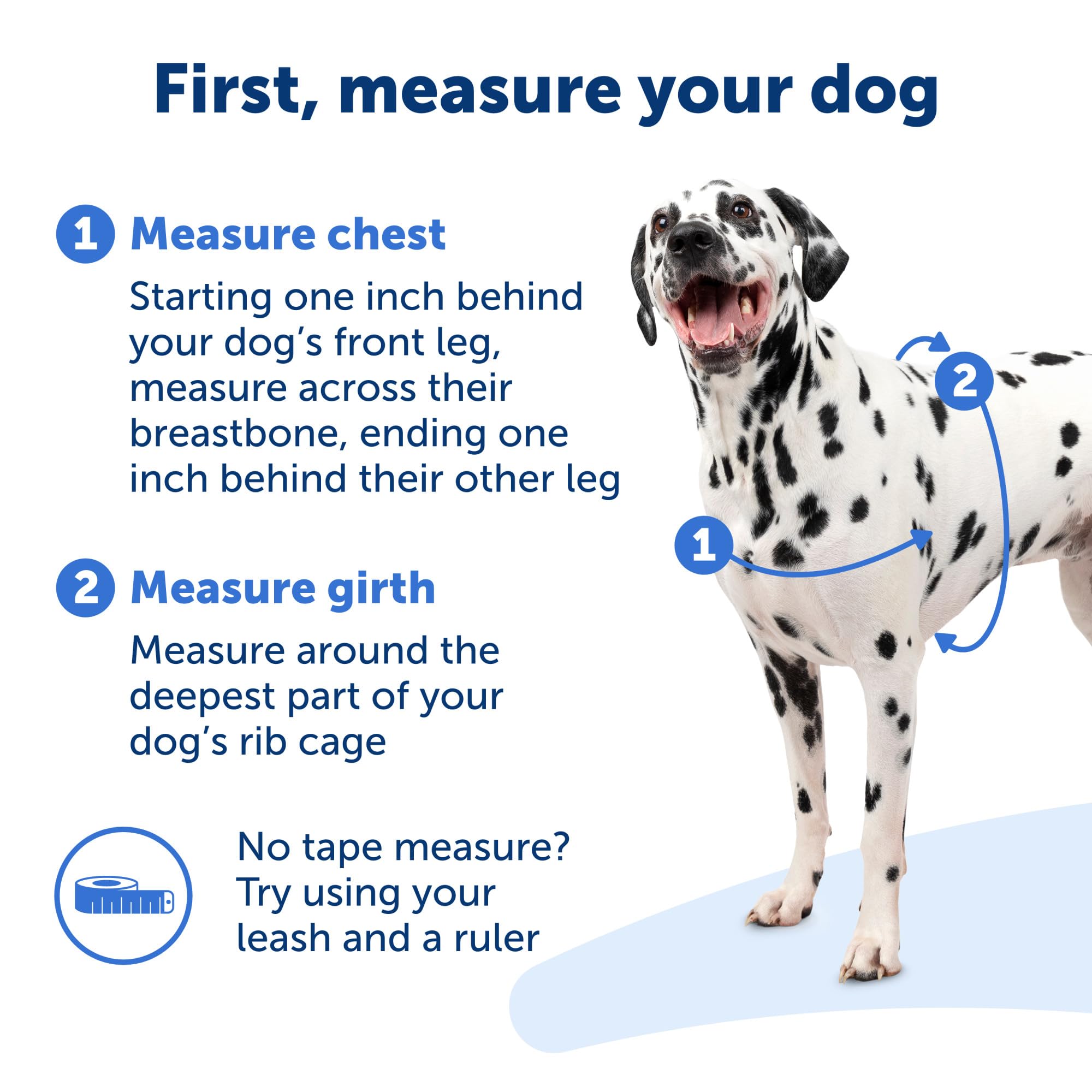 Petsafe Easy Walk harness breathable fabric on dog for cool, comfortable walks.