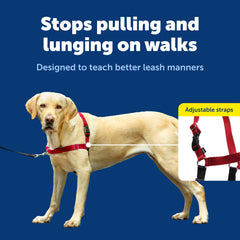 PetSafe Easy Walk Harness breathable fabric keeps dogs cool during walks