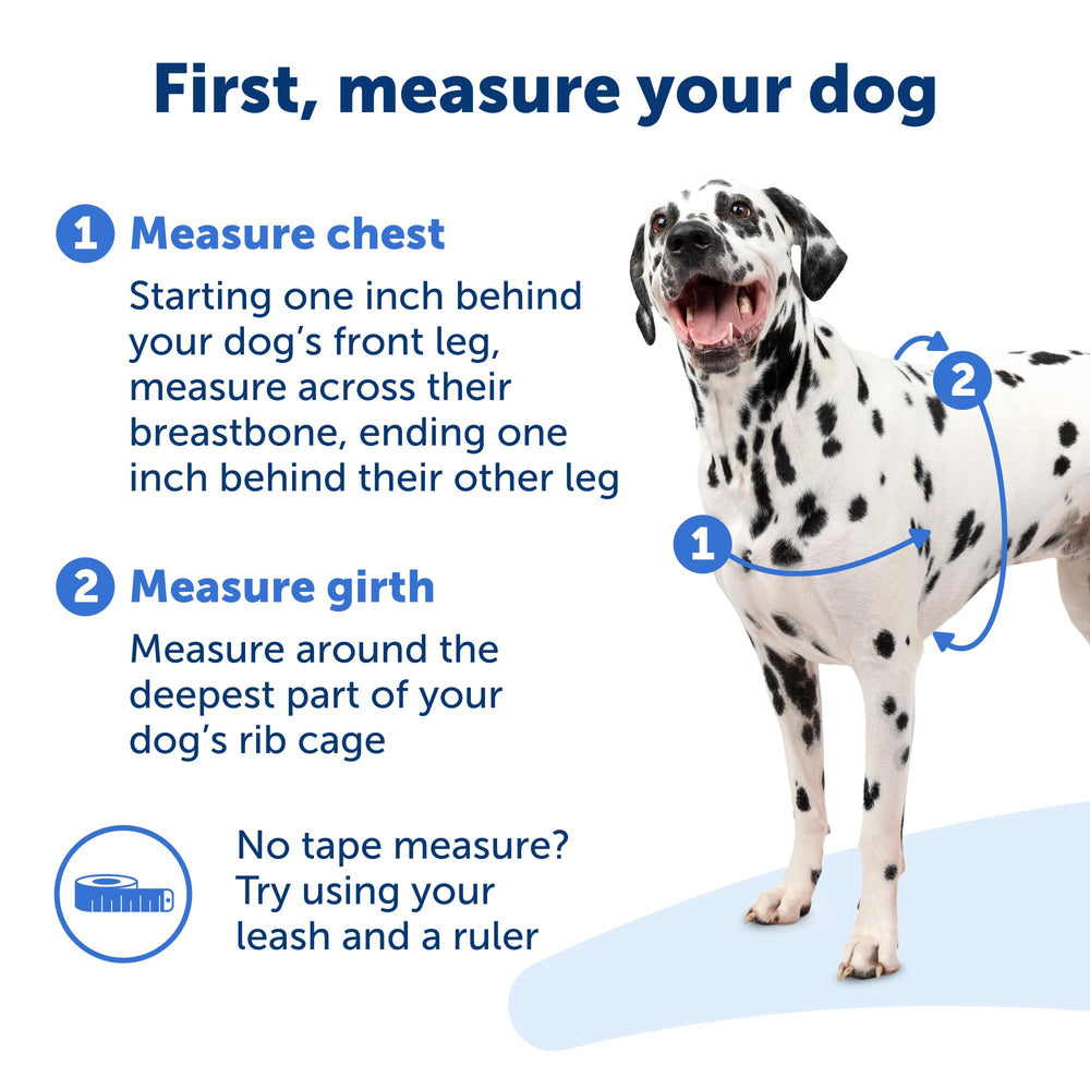 PetSafe Easy Walk Harness breathable fabric close-up highlights cool, comfortable wear