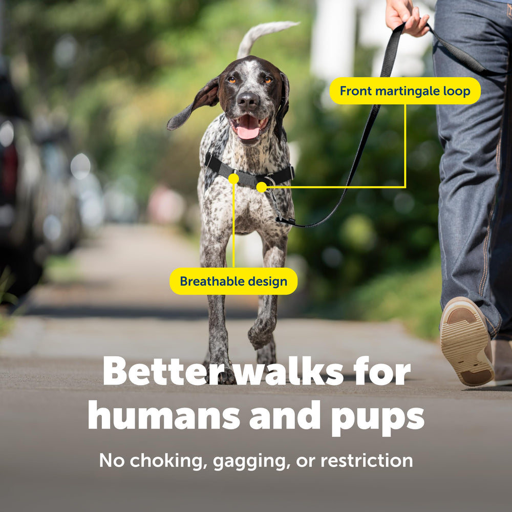 PetSafe Easy Walk breathable fabric keeps dogs cool with less coverage during hikes.