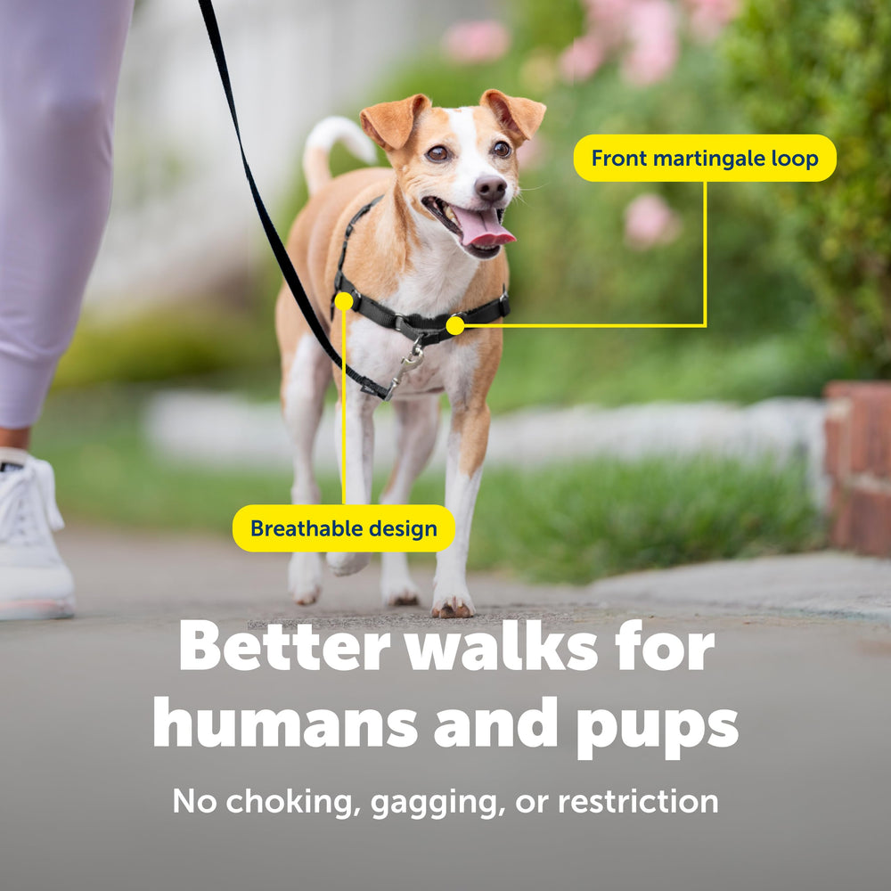 PetSafe Easy Walk Harness color-coded belly strap for quick on-off fitting.